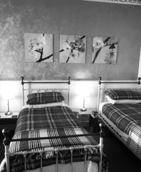 Cameron Guest House